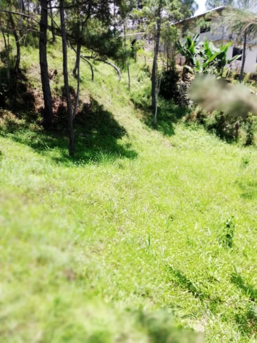 TERRENO ACCIDENTADO EN CONSTANZA – foto 3
