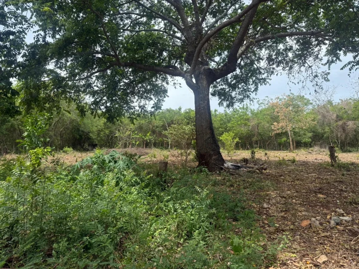 Terreno amplio en venta en Juan Dolio – foto 9