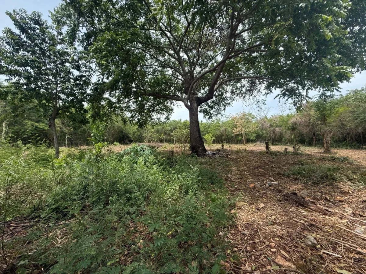 Terreno amplio en venta en Juan Dolio – foto 6
