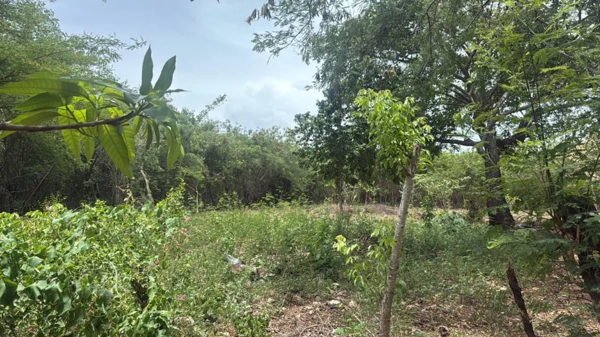 Terreno amplio en venta en Juan Dolio – foto 7