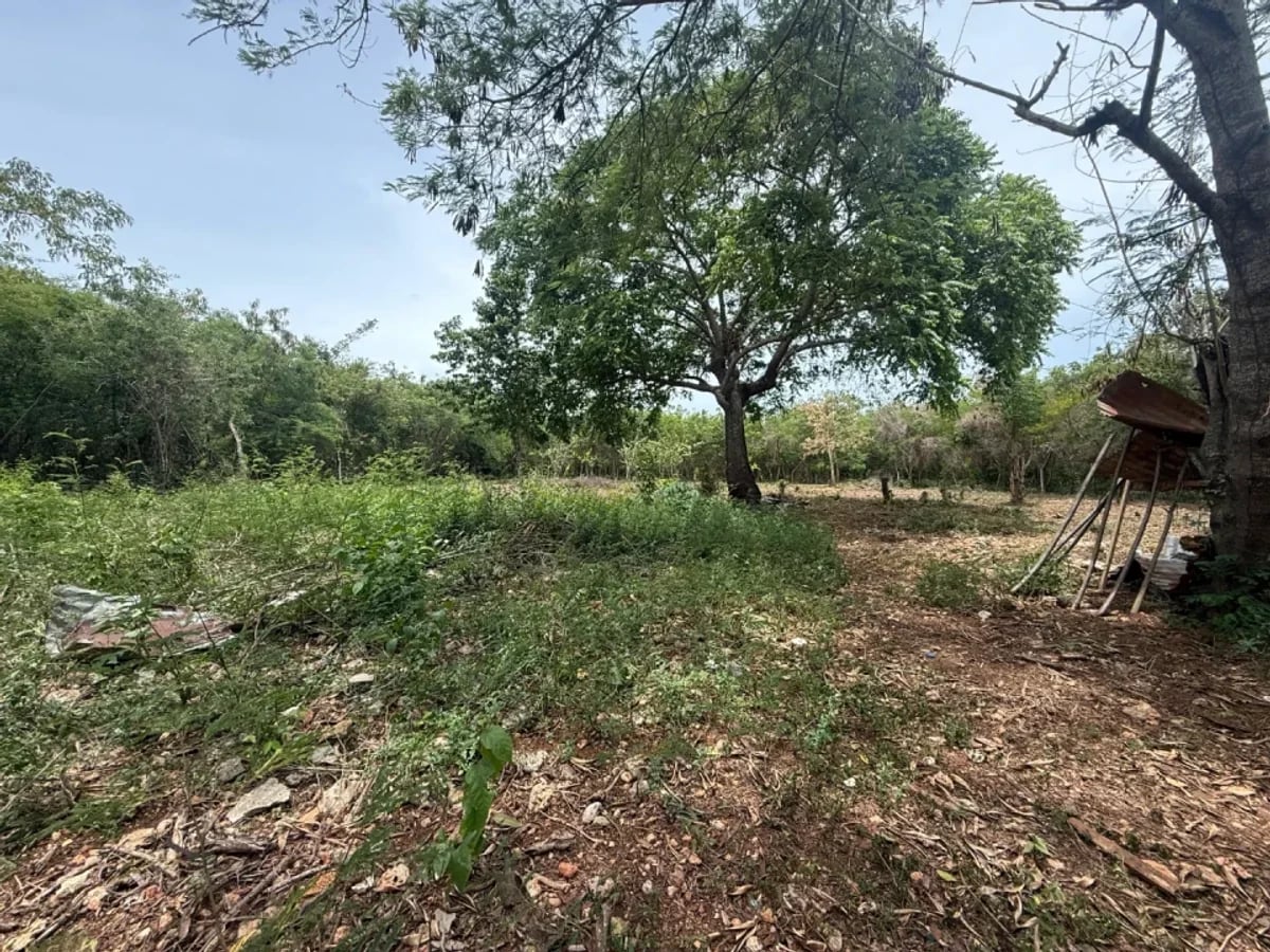 Terreno amplio en venta en Juan Dolio – foto 3