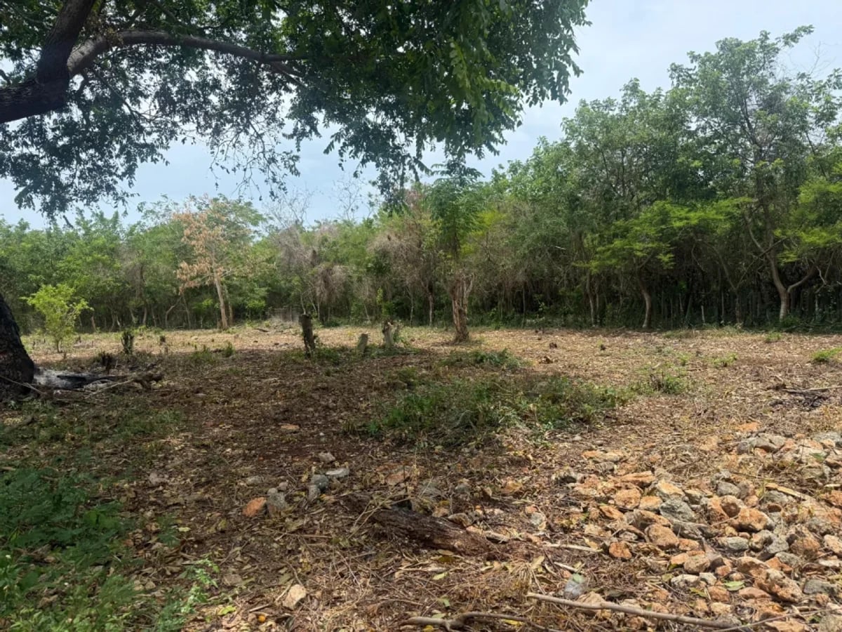 Terreno amplio en venta en Juan Dolio – foto 8