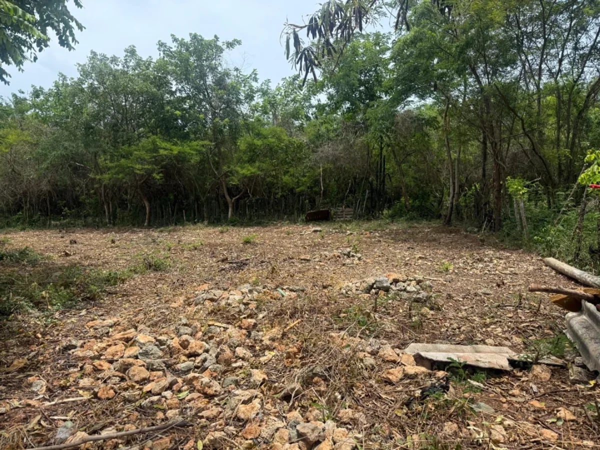 Terreno amplio en venta en Juan Dolio – foto 4