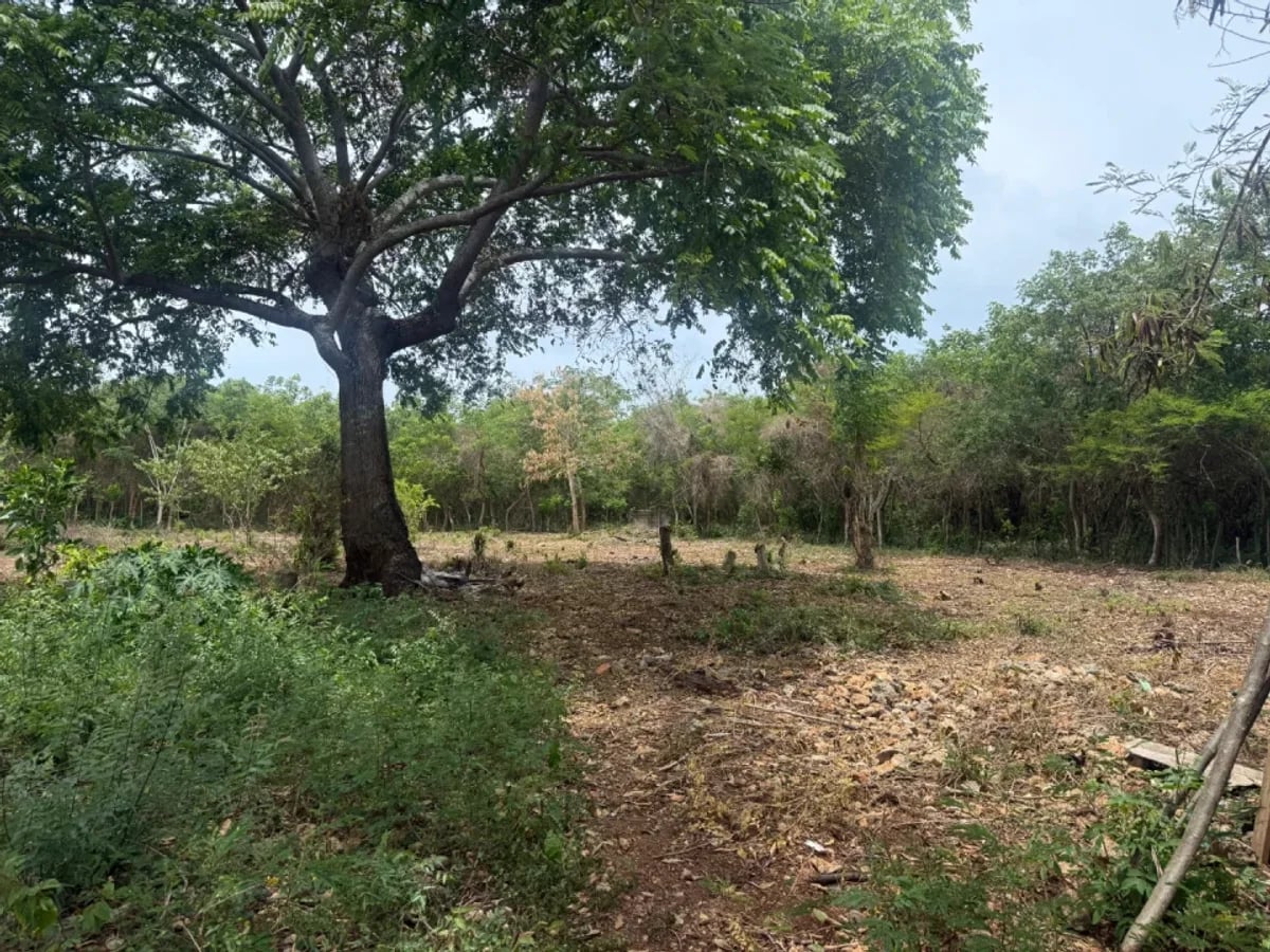 Terreno amplio en venta en Juan Dolio – foto 5