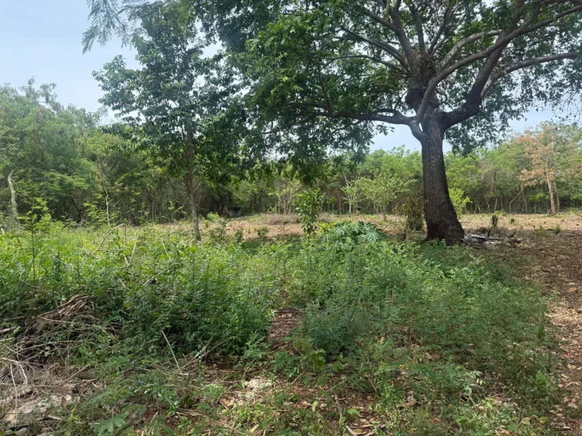 Terreno amplio en venta en Juan Dolio – foto 2