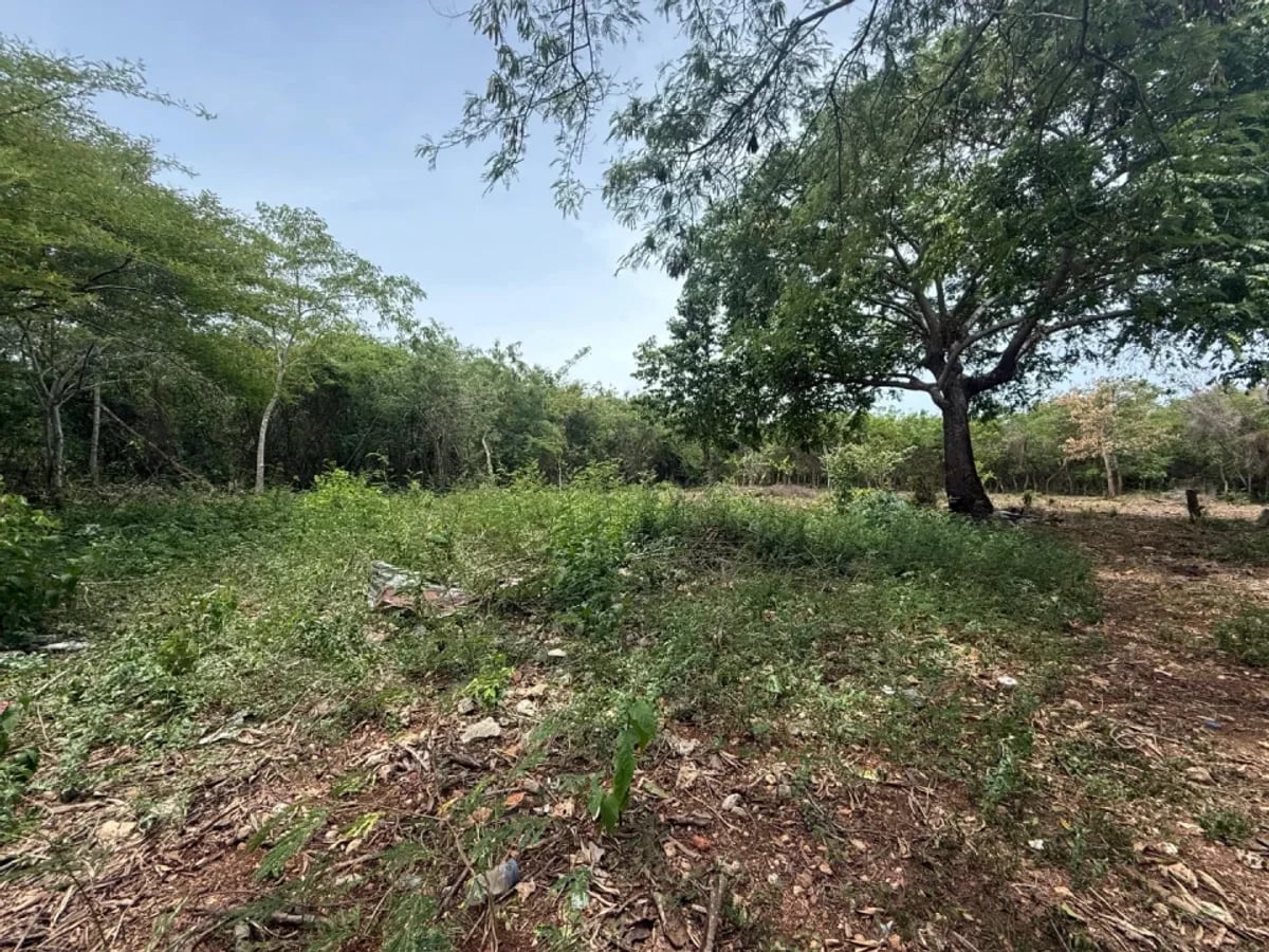 Terreno amplio en venta en Juan Dolio – foto 1