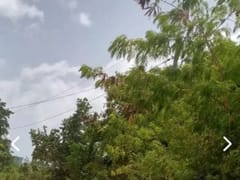 Terreno en venta en Las Terrenas Sector Come Pan – foto 4