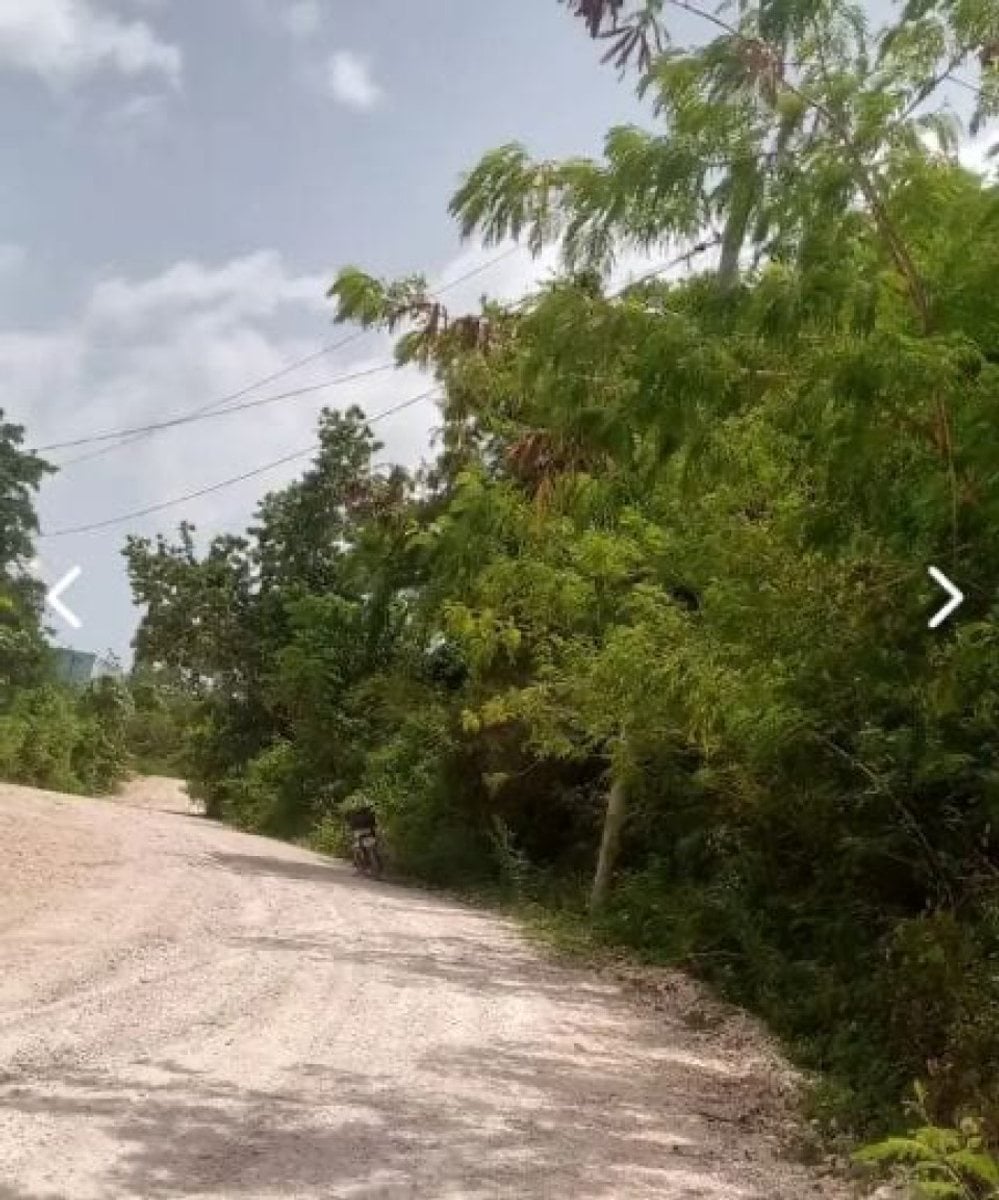 Terreno en Venta en Las Terrenas Sector Come Pan – foto 4