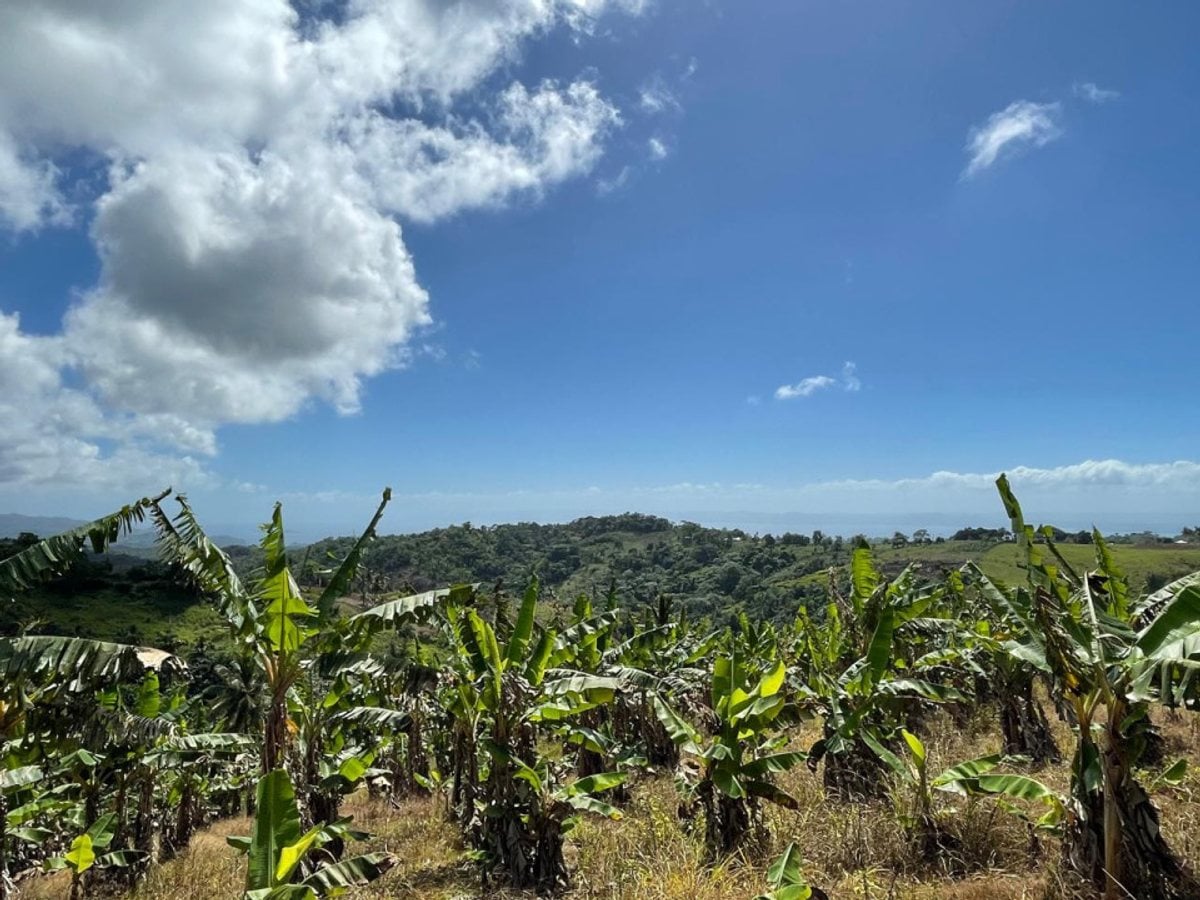 Terreno en Samaná, Juana Vicenta – foto 2