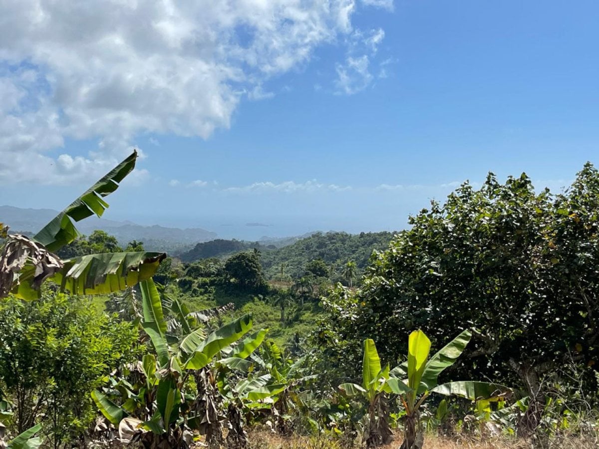 Terreno en Samaná, Juana Vicenta – foto 3