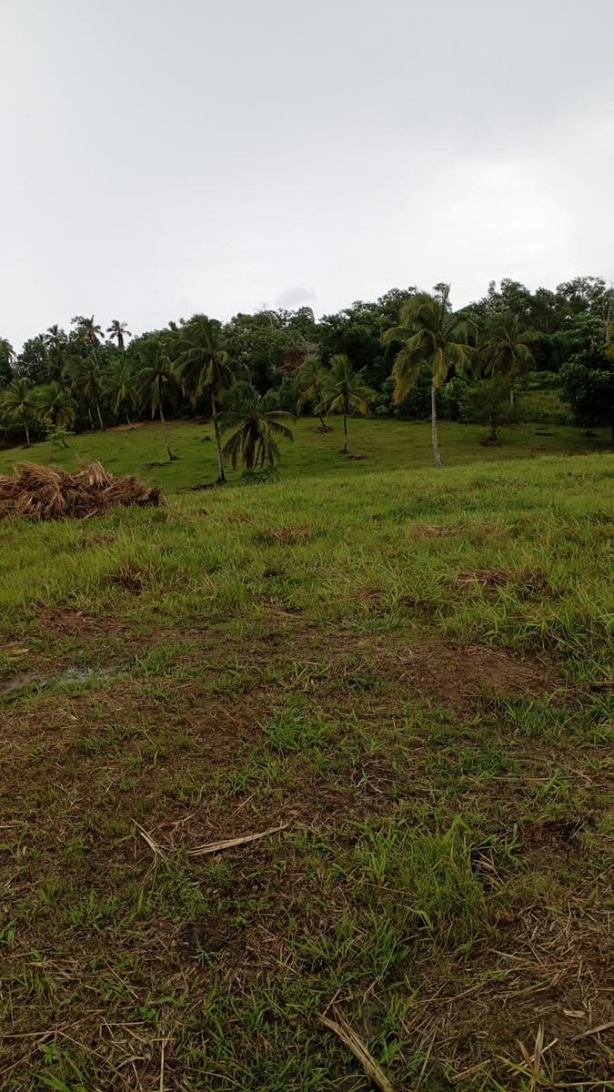 Terreno en Samaná, Juana Vicenta – foto 4