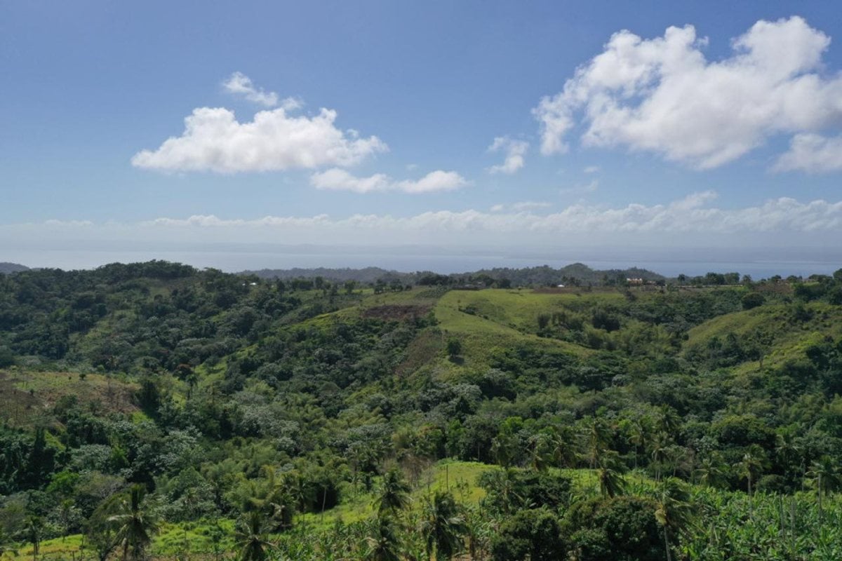 Terreno en Samaná, Juana Vicenta – foto 1