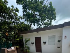 Casa en venta y alquiler en El Millón – foto 6