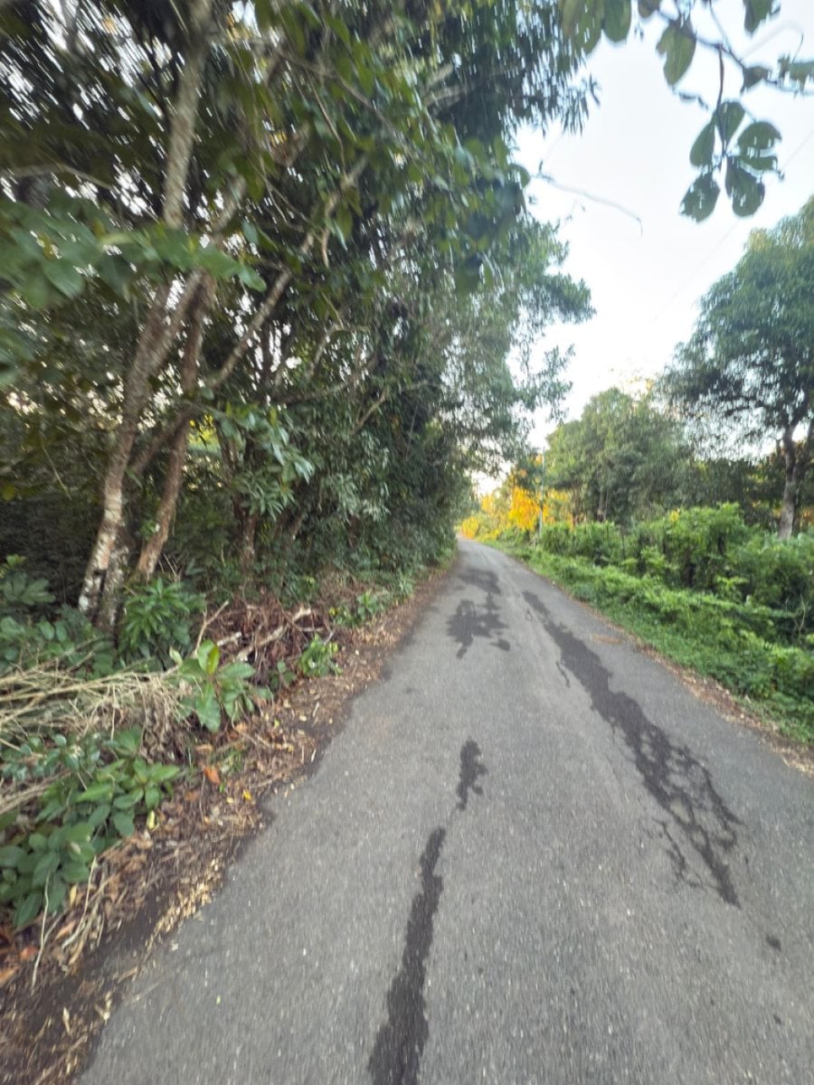 Terreno en Venta en Bayaguana – foto 1