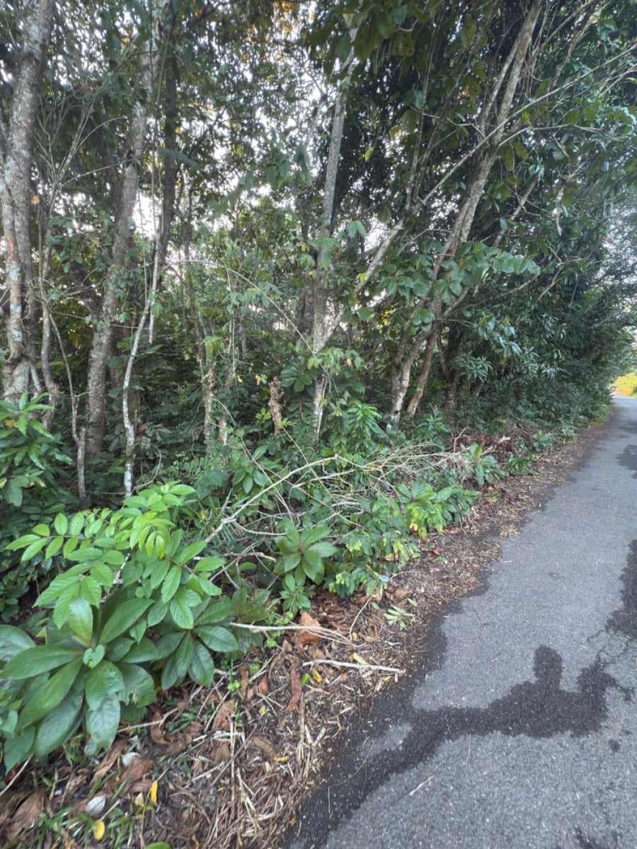 Terreno en Venta en Bayaguana – foto 4