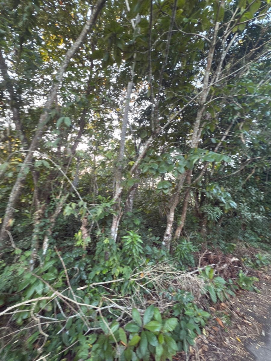 Terreno en Venta en Bayaguana – foto 3