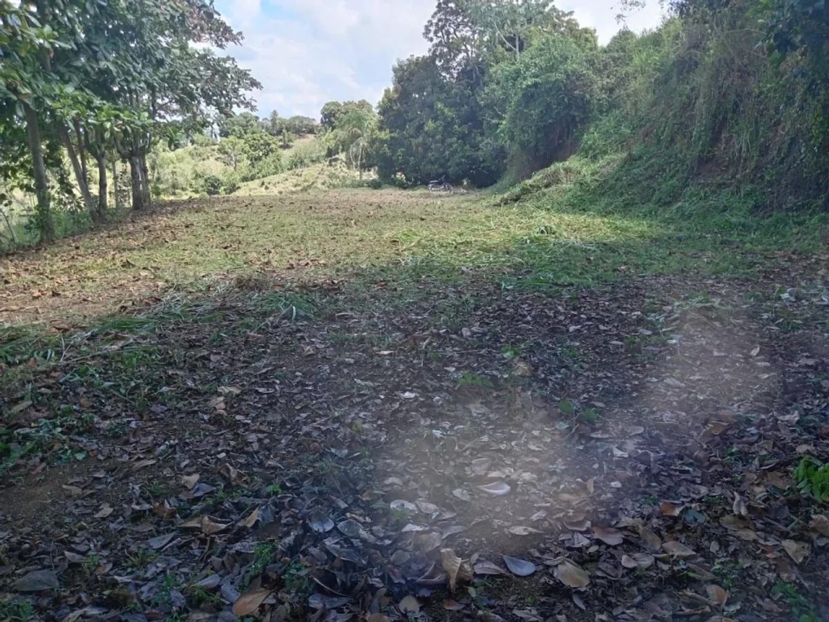 Terreno en Venta en La Vega – foto 2