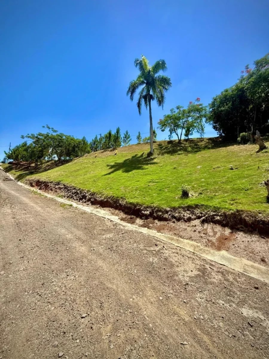 Terreno en Venta en La Vega – foto 1