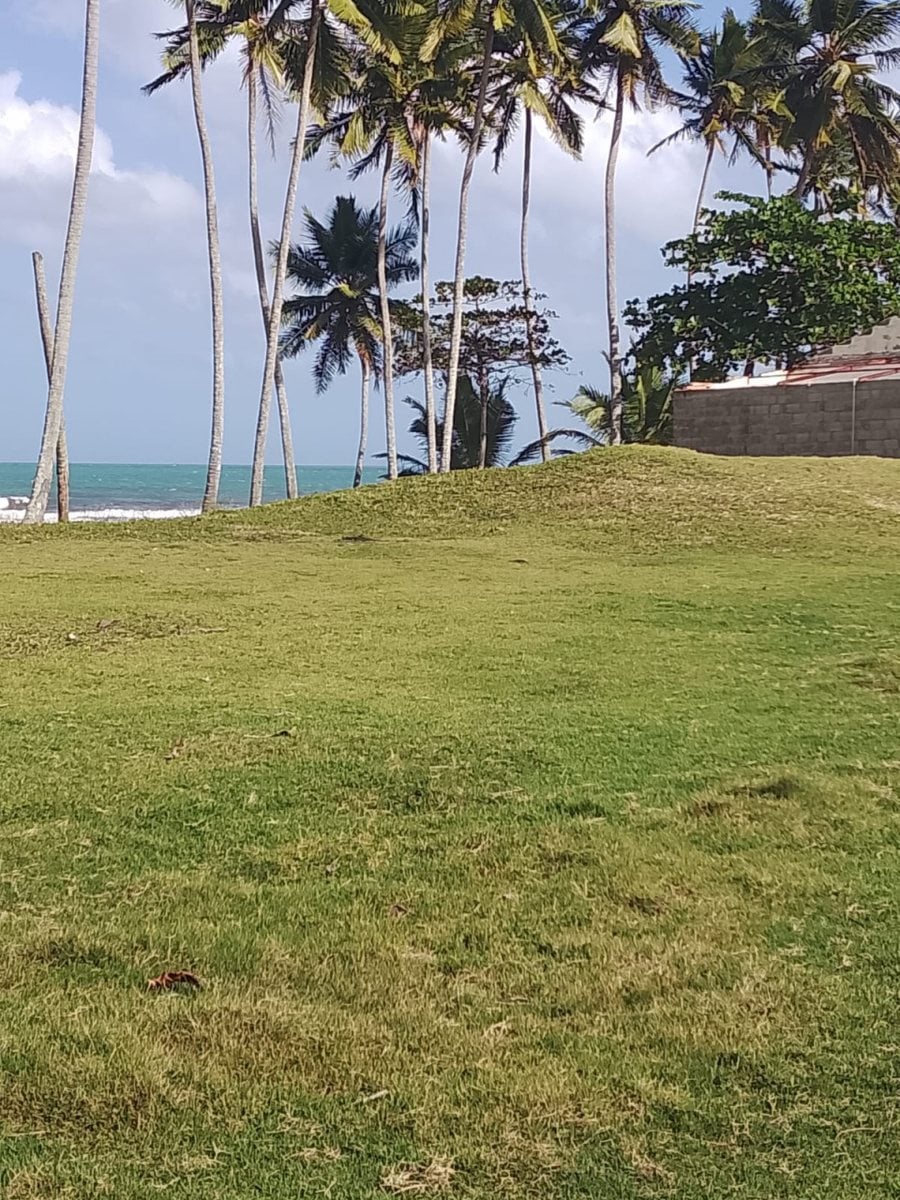 TERRENO EN VENTA 24307 M² LA CANAS GASPAR HERNÁNDE – foto 4
