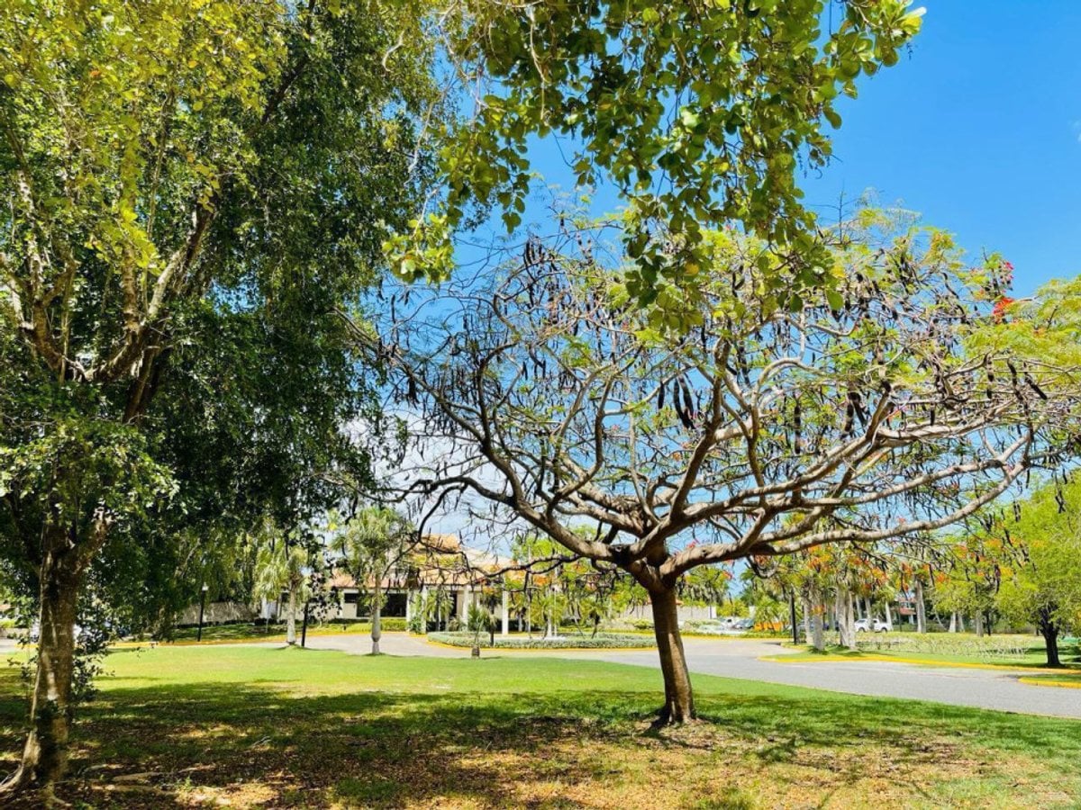 Villa Turística en Juan Dolio, San Pedro – foto 7