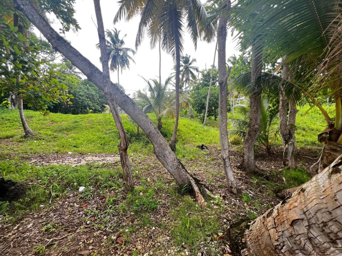 Terreno en Samaná, Sector Sánchez KM 0 – foto 4