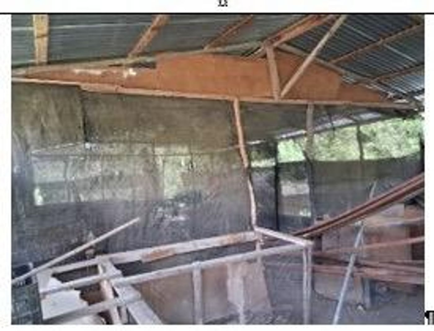 Finca en producción de Aguacate – foto 12