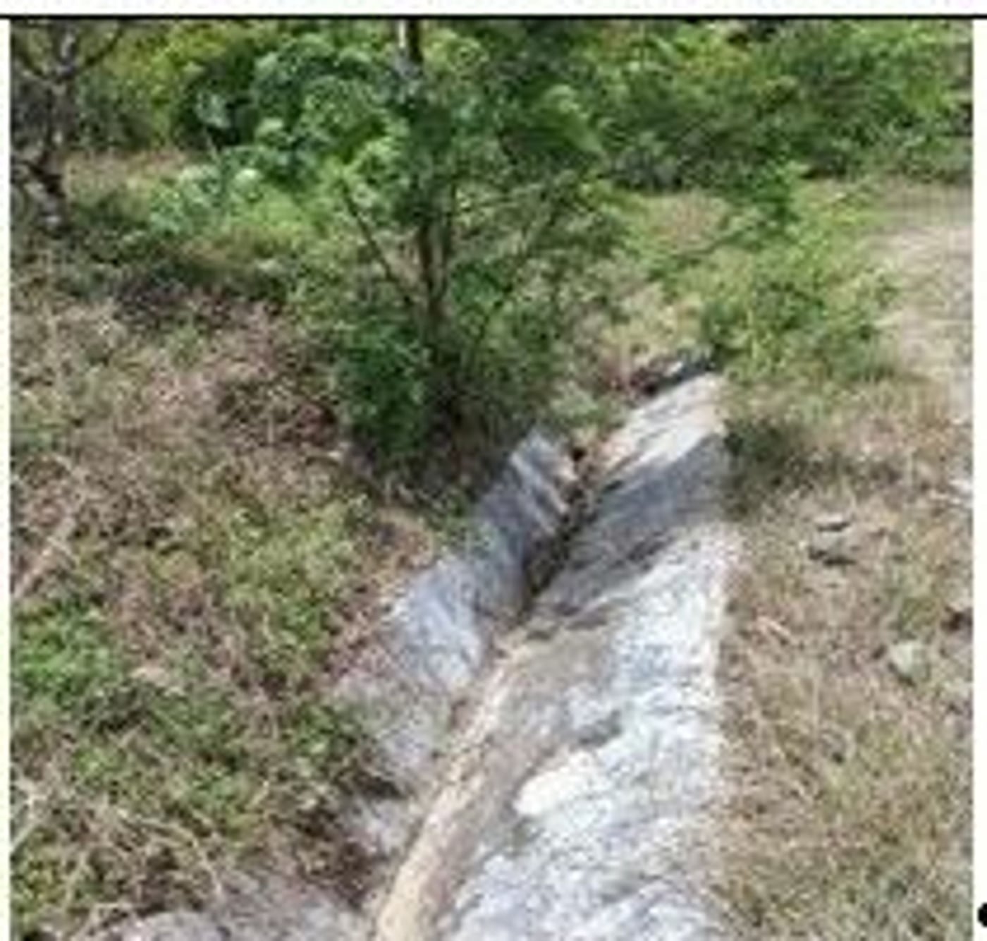 Finca en producción de Aguacate – foto 10