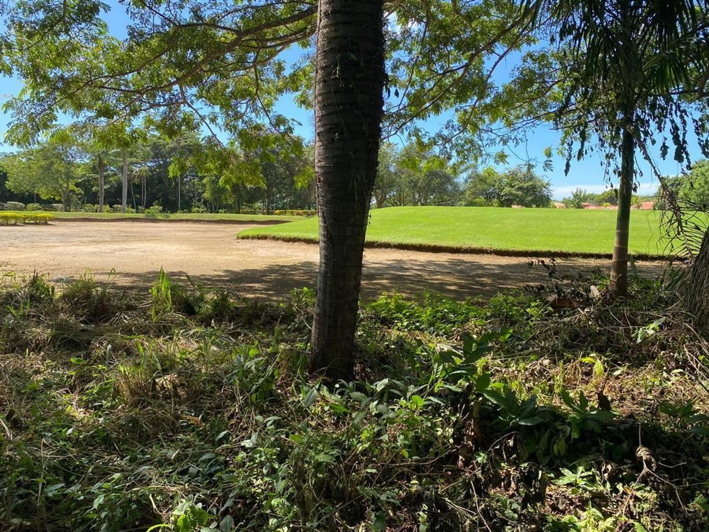 Solar en Guavaberry frente al Campo de Golf – foto 2
