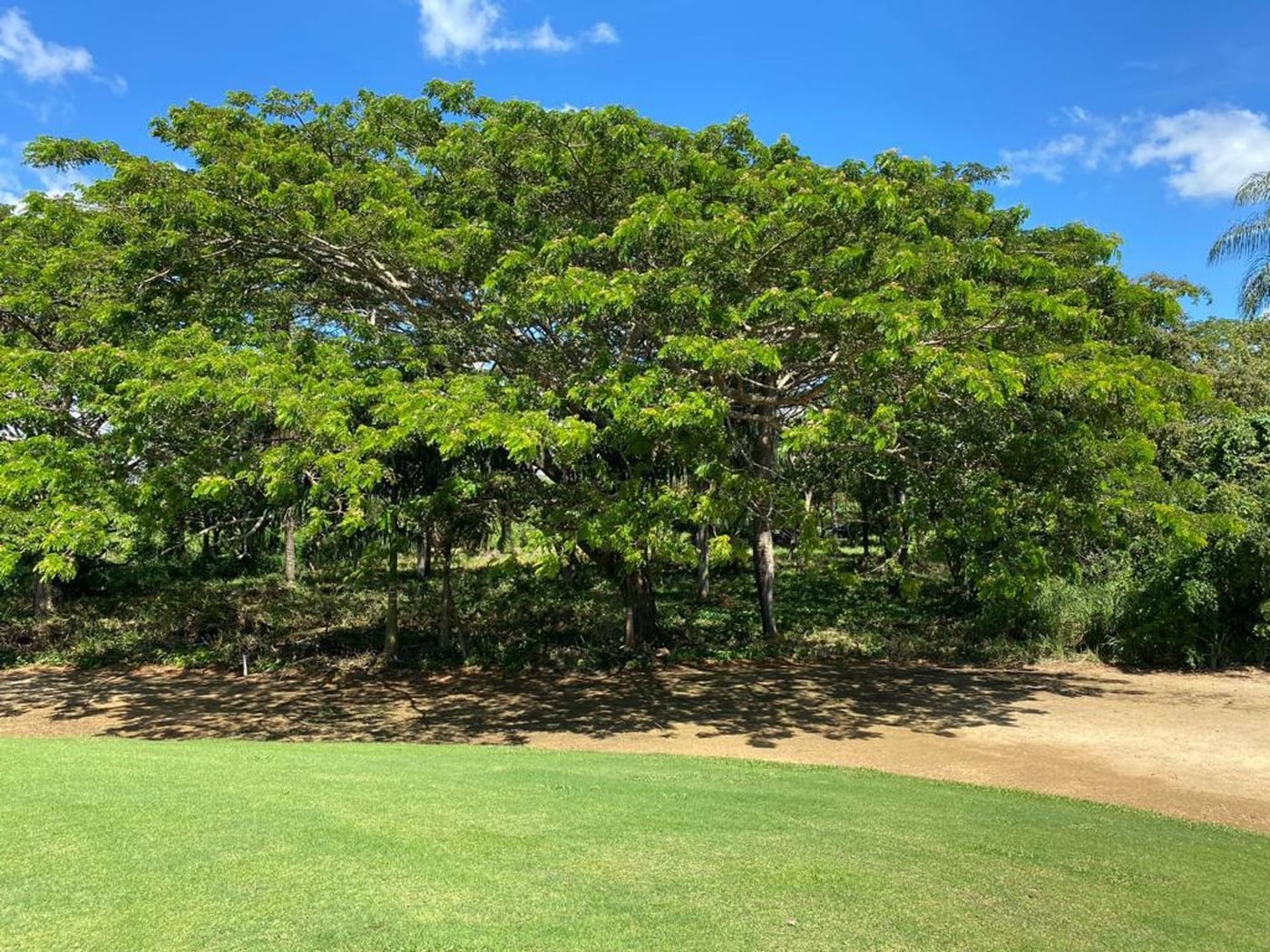 Solar en Guavaberry frente al Campo de Golf – foto 1
