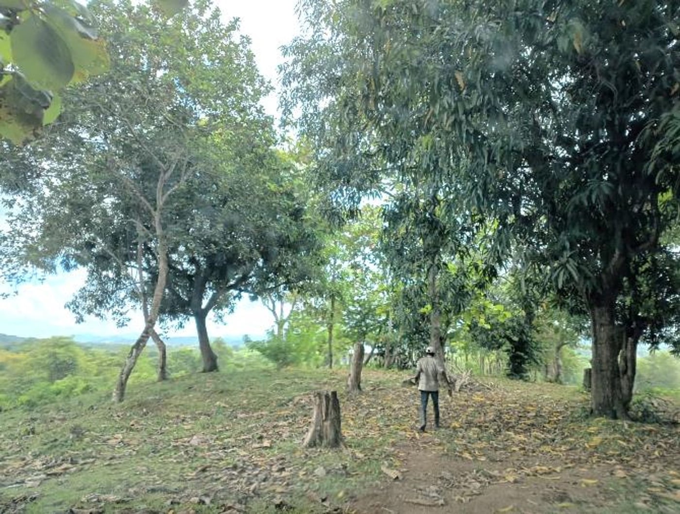 Finca de 290,000 m² con acceso al río en Yamasá – foto 4