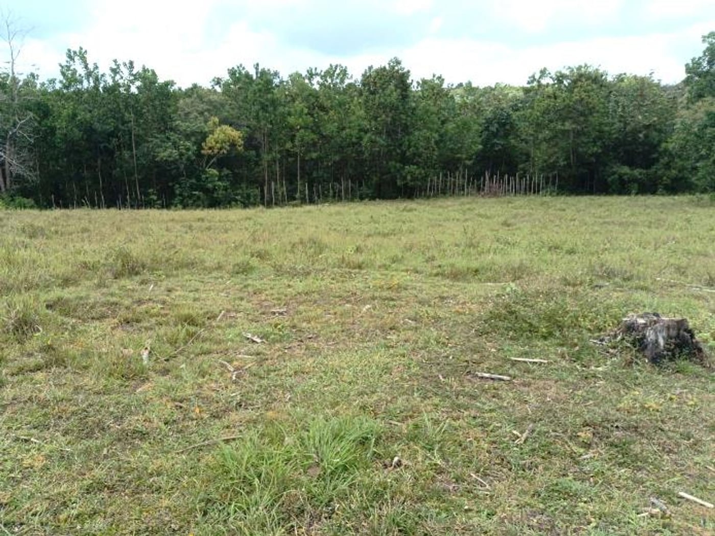 Finca de 290,000 m² con acceso al río en Yamasá – foto 5