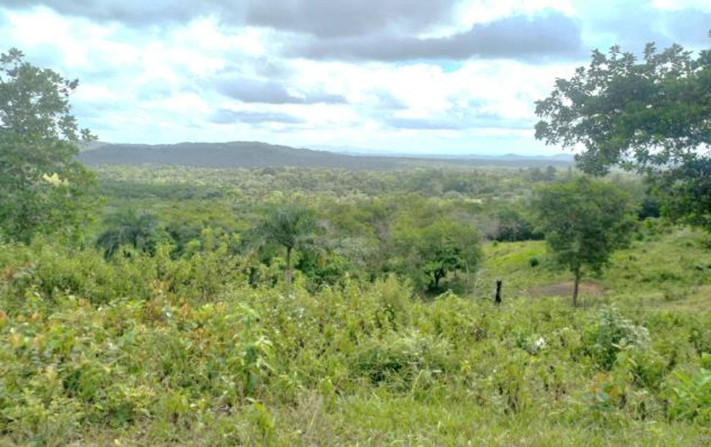 Finca de 290,000 m² con acceso al río en Yamasá – foto 3