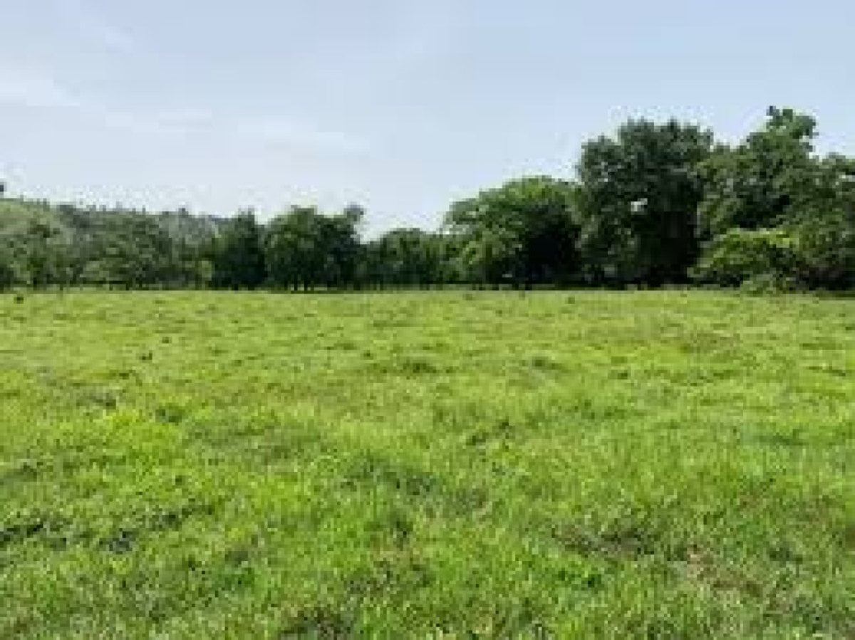 Terreno en Venta en San Cristóbal – foto 3