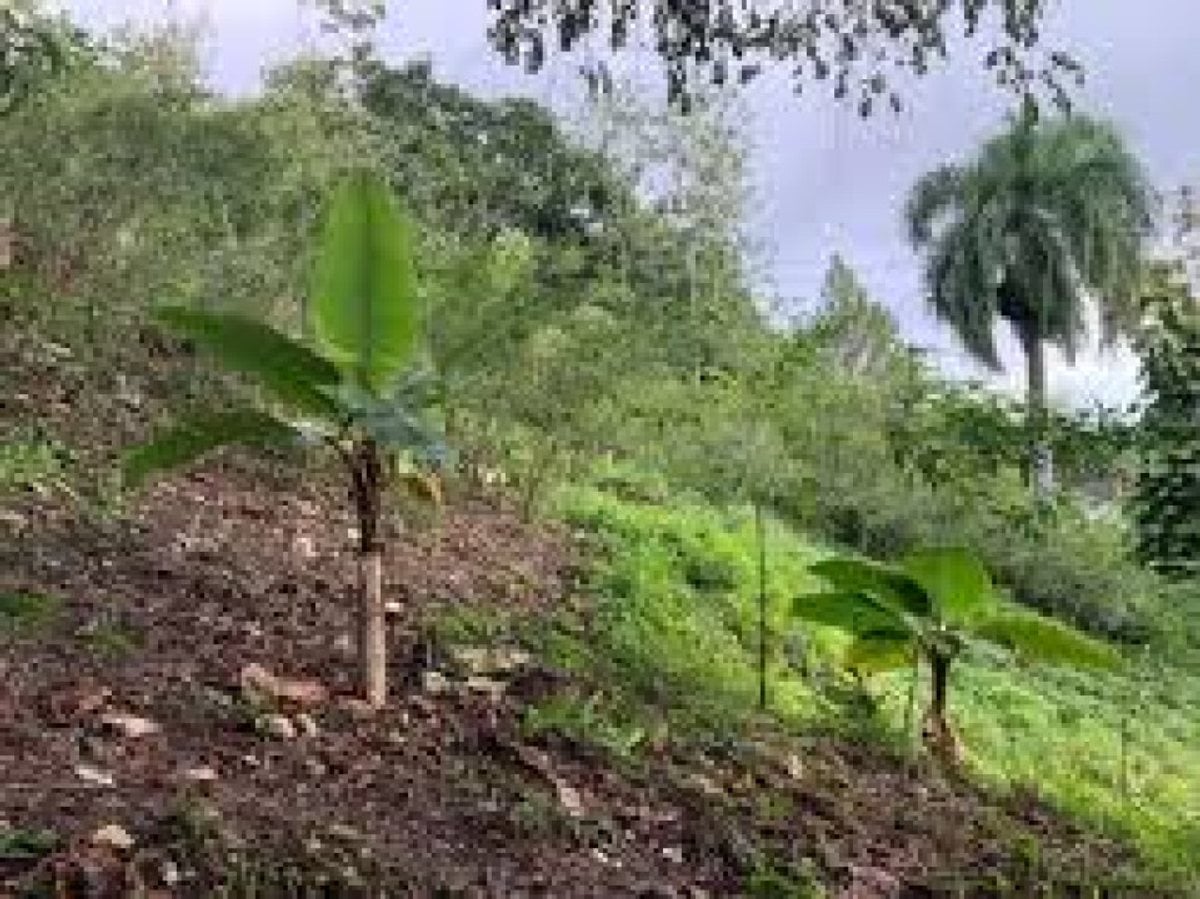 Terreno en Venta en San Cristóbal – foto 2