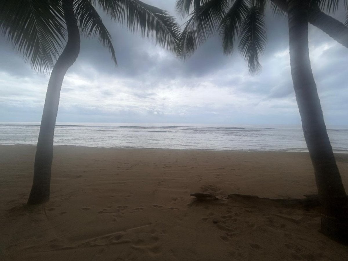 Apartamento amueblado en alquiler frente al mar Juan Dolió – foto 2