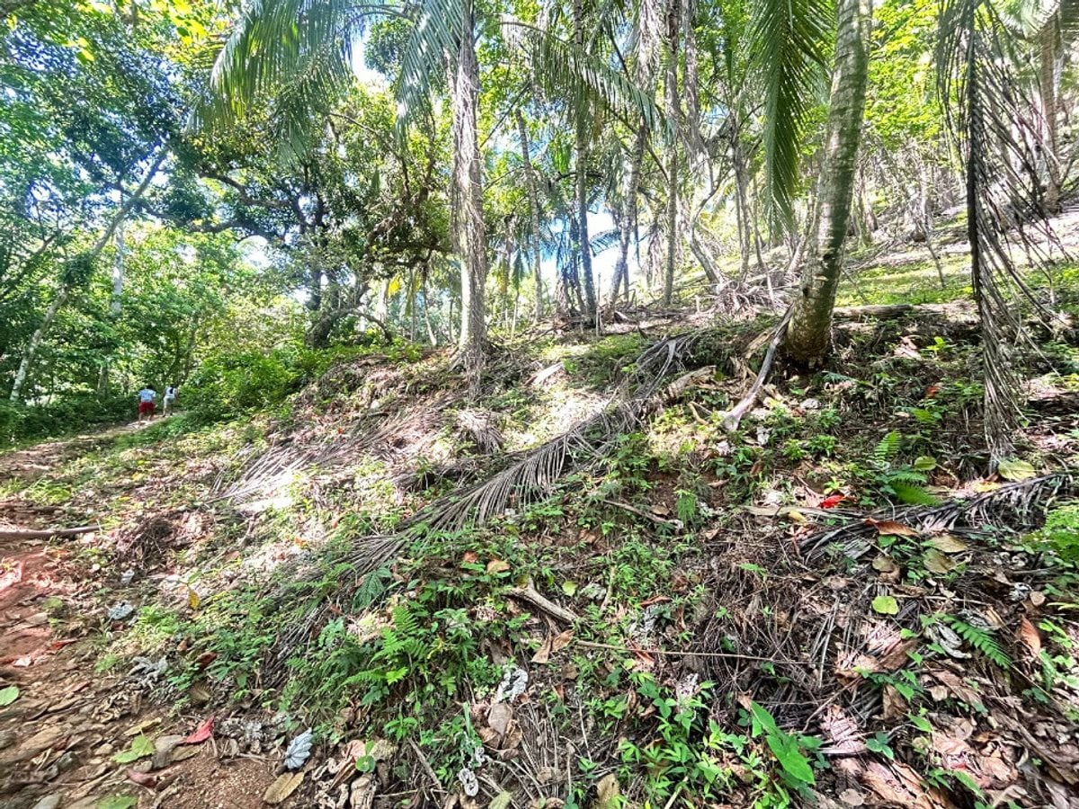 Terreno en Samaná, Santa Bárbara – foto 7
