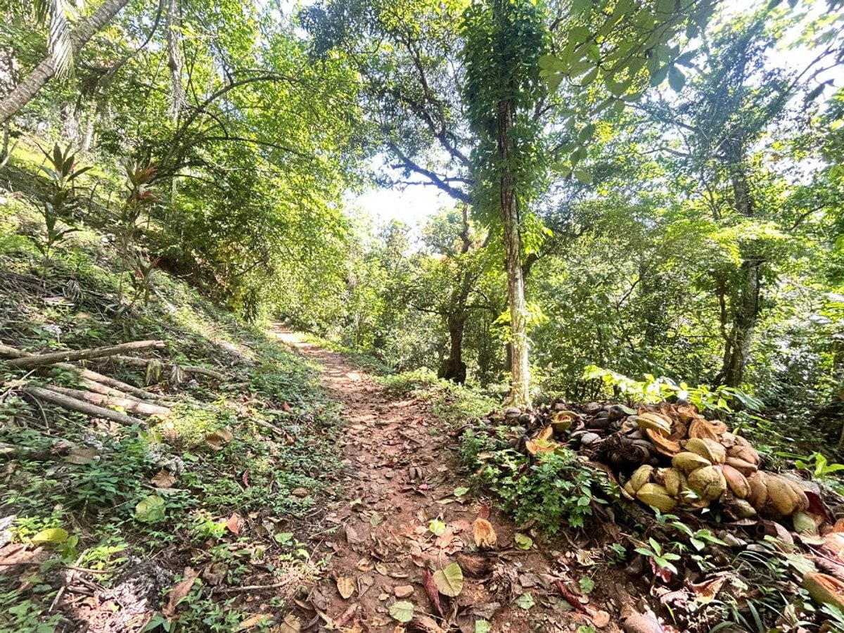 Terreno en Samaná, Santa Bárbara – foto 6