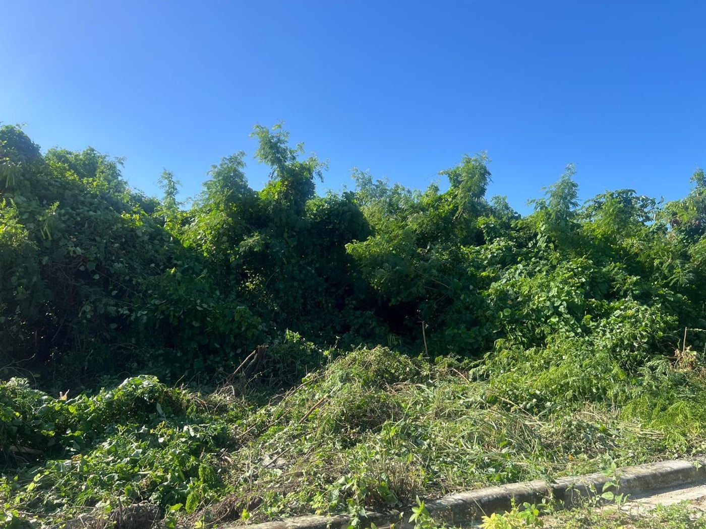 Terreno en Venta en Santo Domingo Este – foto 2
