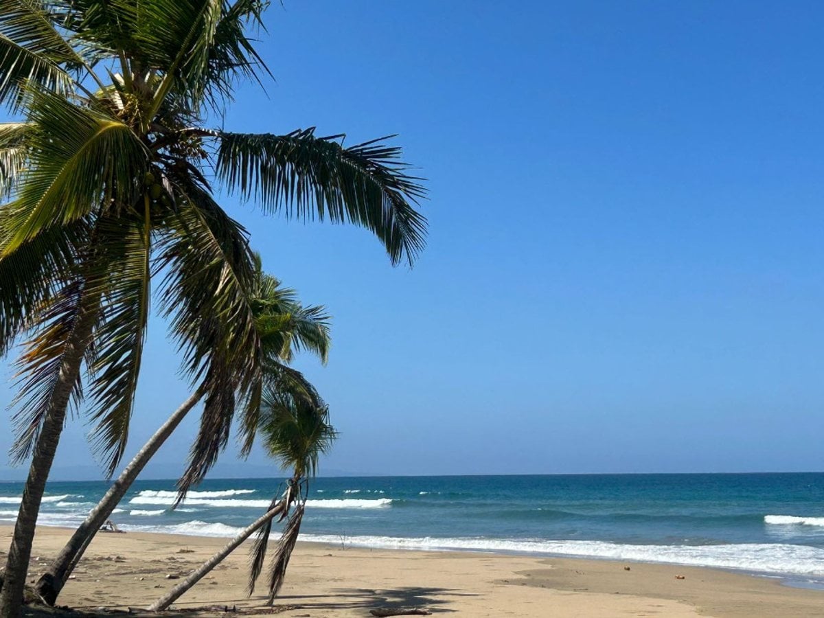 Solar en la playa, Lotes a partir de 3,000mts2 – foto 2