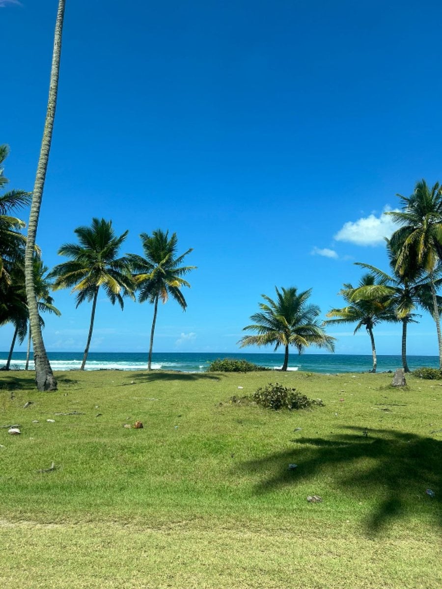 Solar en la playa, Lotes a partir de 3,000mts2 – foto 3