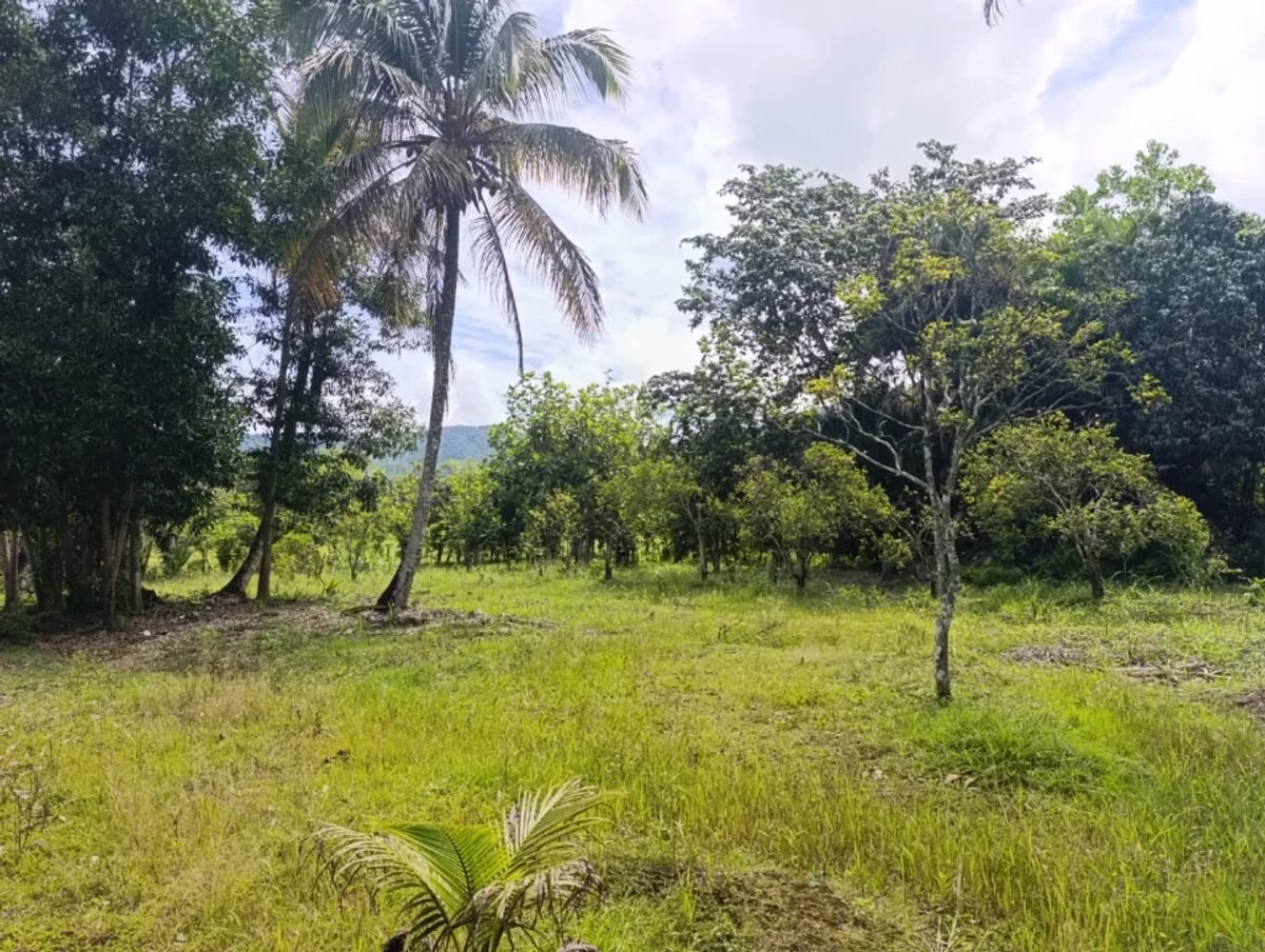 Terreno en Villa Altagracia, San Cristóbal – foto 5