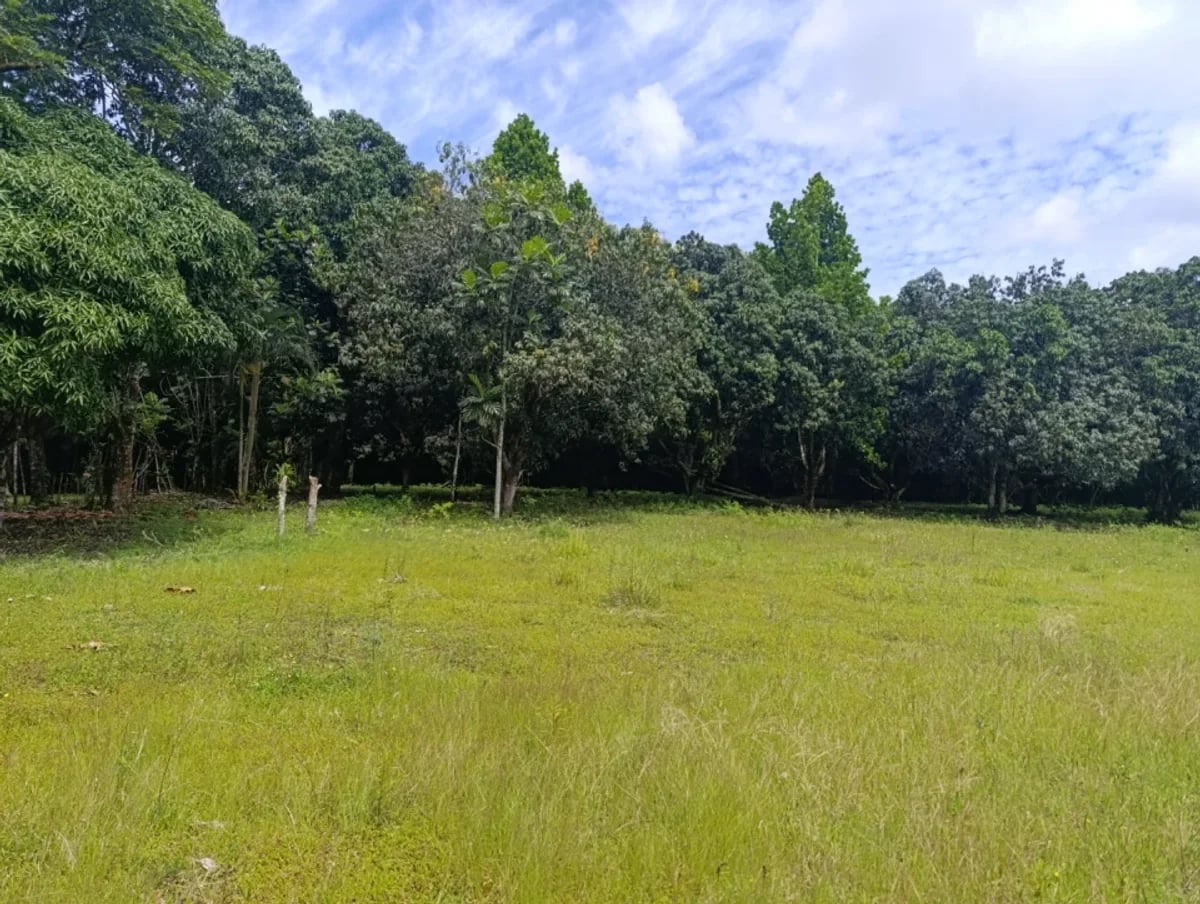 Terreno en Villa Altagracia, San Cristóbal – foto 7