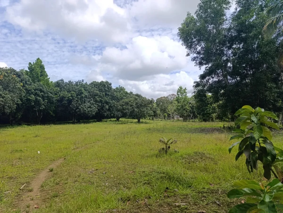 Terreno en Villa Altagracia, San Cristóbal – foto 6