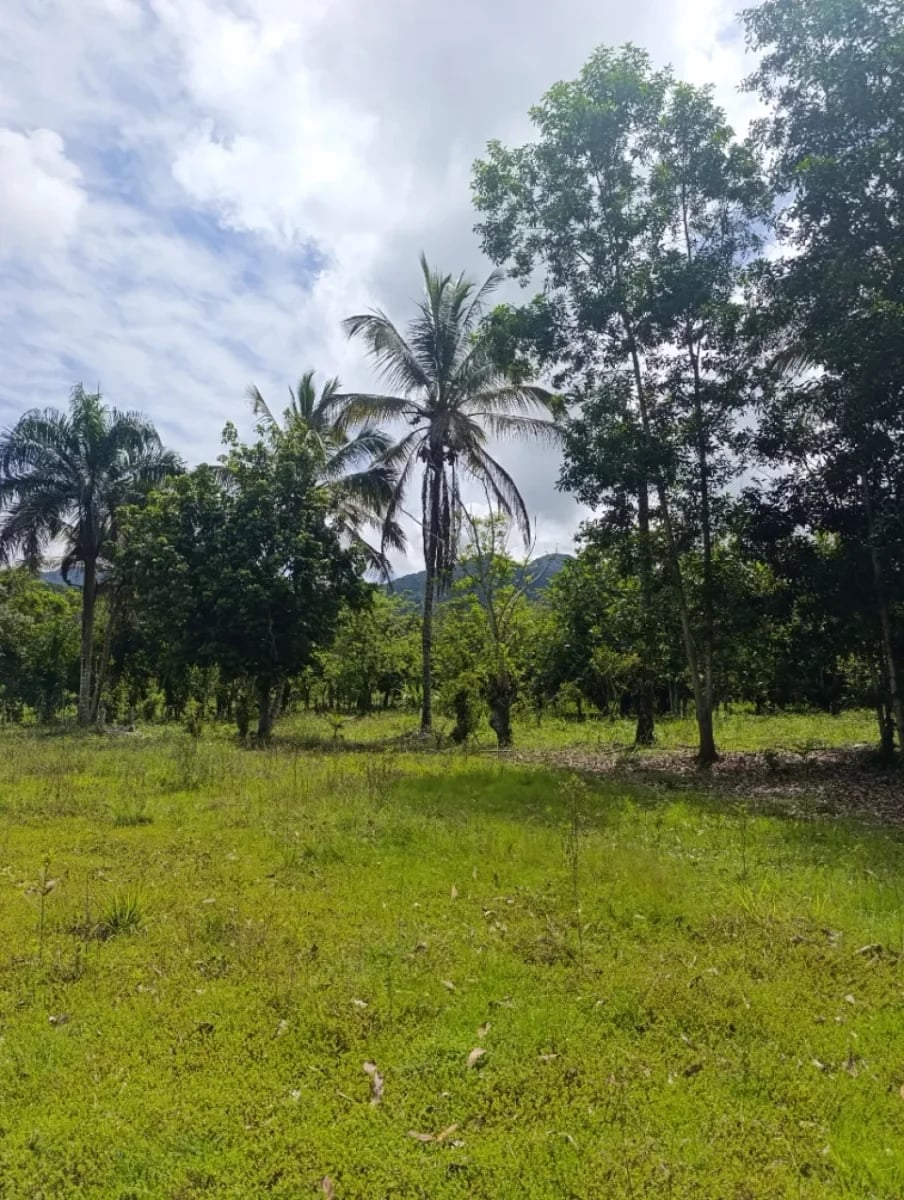 Terreno en Villa Altagracia, San Cristóbal – foto 1