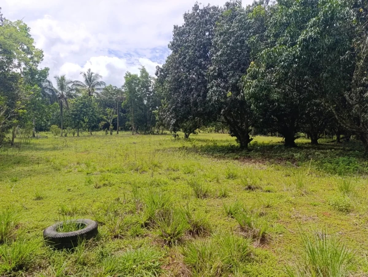 Terreno en Villa Altagracia, San Cristóbal – foto 4