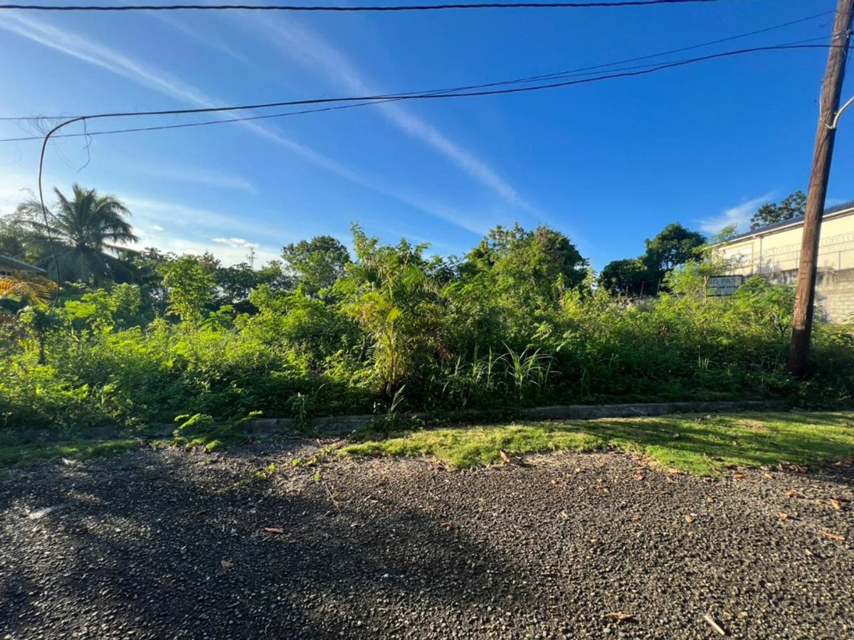Terreno En Arroyo Manzano, Santo Domingo De Guzmán – foto 1