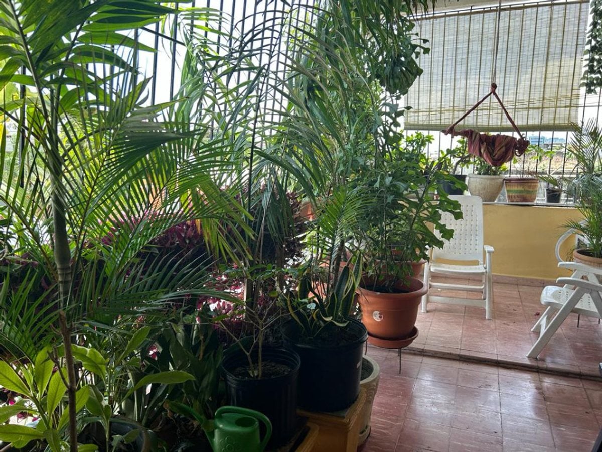 Apartamento En Zona Colonial, Santo Domingo De Guz – foto 11