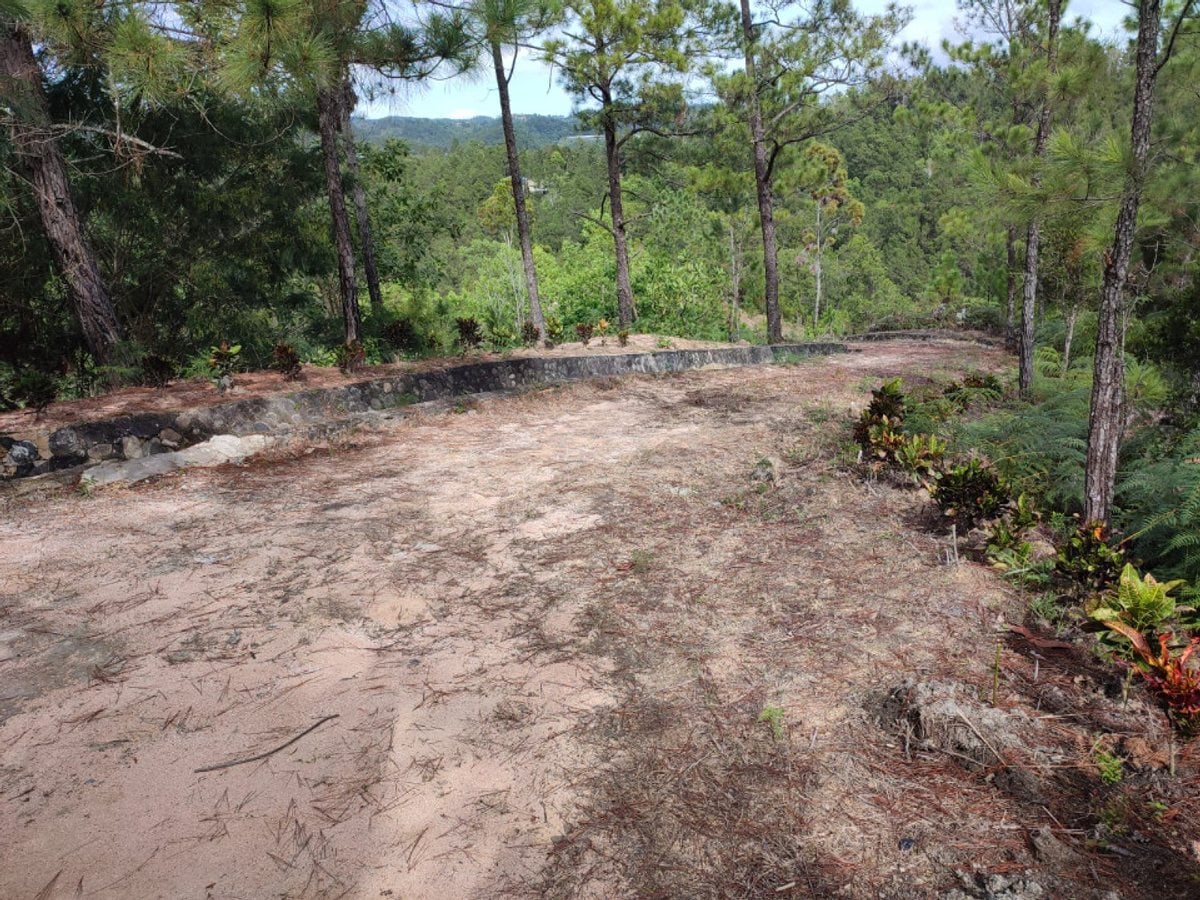 EN VENTA EN CONSTANZA – foto 7