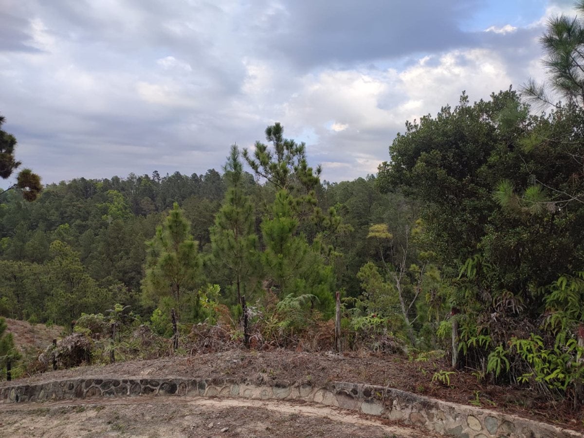 EN VENTA EN CONSTANZA – foto 4