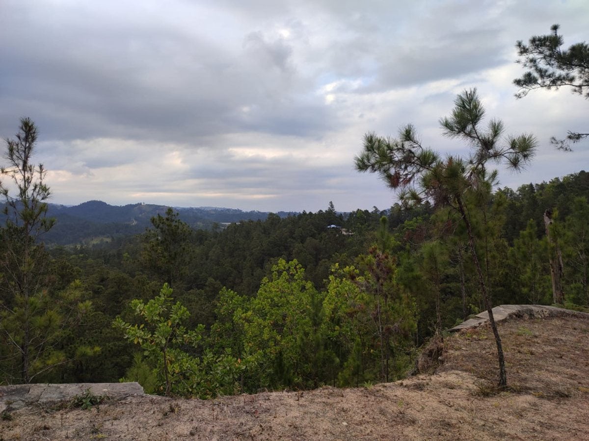 EN VENTA EN CONSTANZA – foto 3